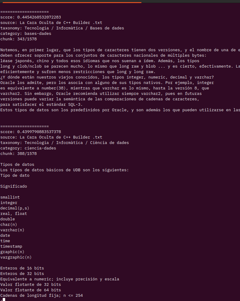 Cover del projecte RAG